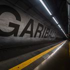 [ garibaldi ]