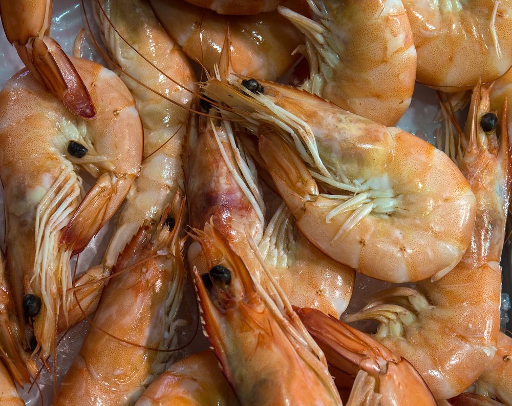 garides Foto & Bild stillleben, foodfotografie, fische