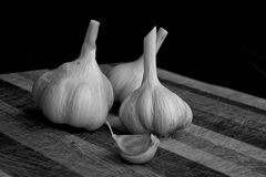 Garlic 1