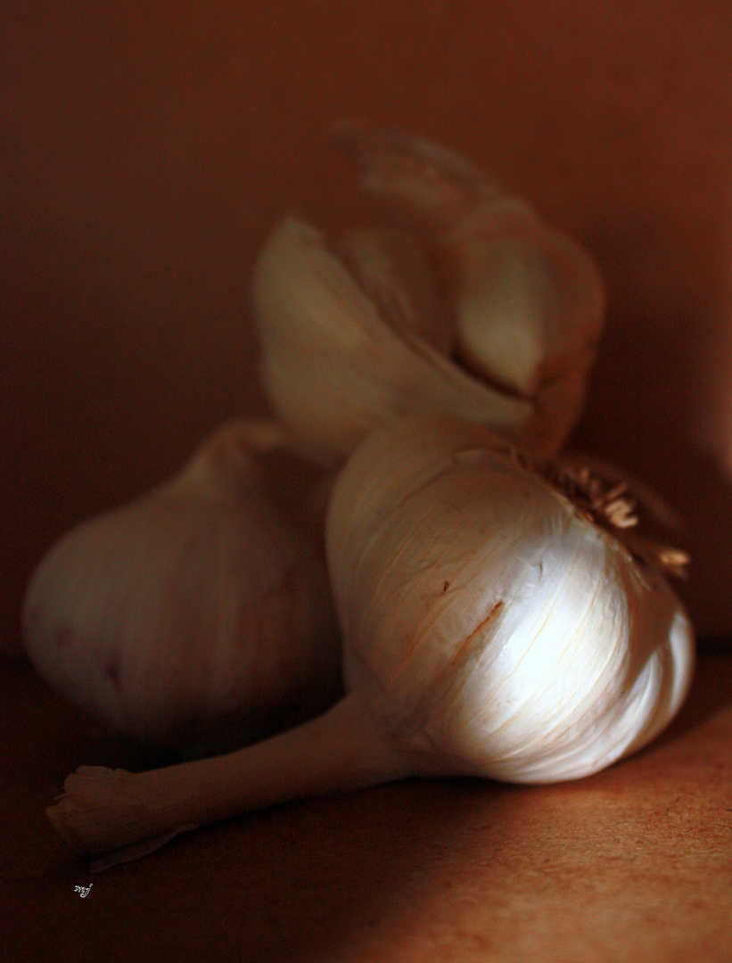 Garlic.