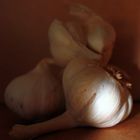 Garlic.