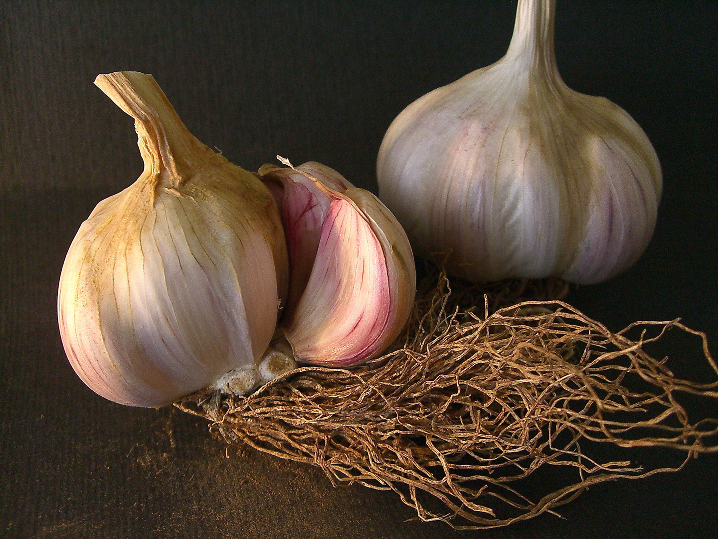 garlic