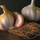 garlic