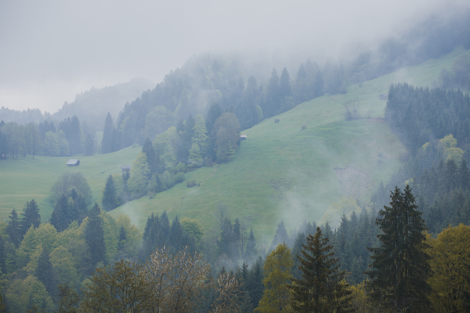 Garmisch - Abstieg vom Eckbauer