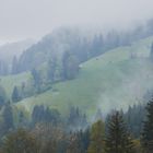 Garmisch - Abstieg vom Eckbauer