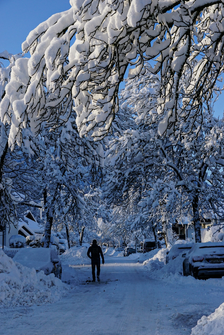 Garmisch im Schnee