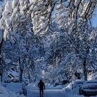 Garmisch im Schnee