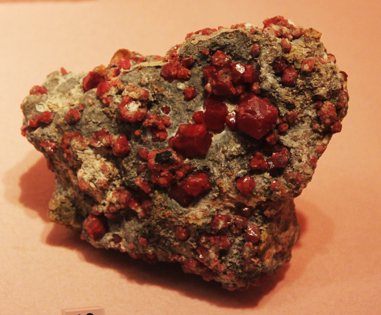 Garnet @ Mineralogisches Museum Hamburg