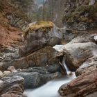 Garnitzenklamm Hermagor - Felsenbaum