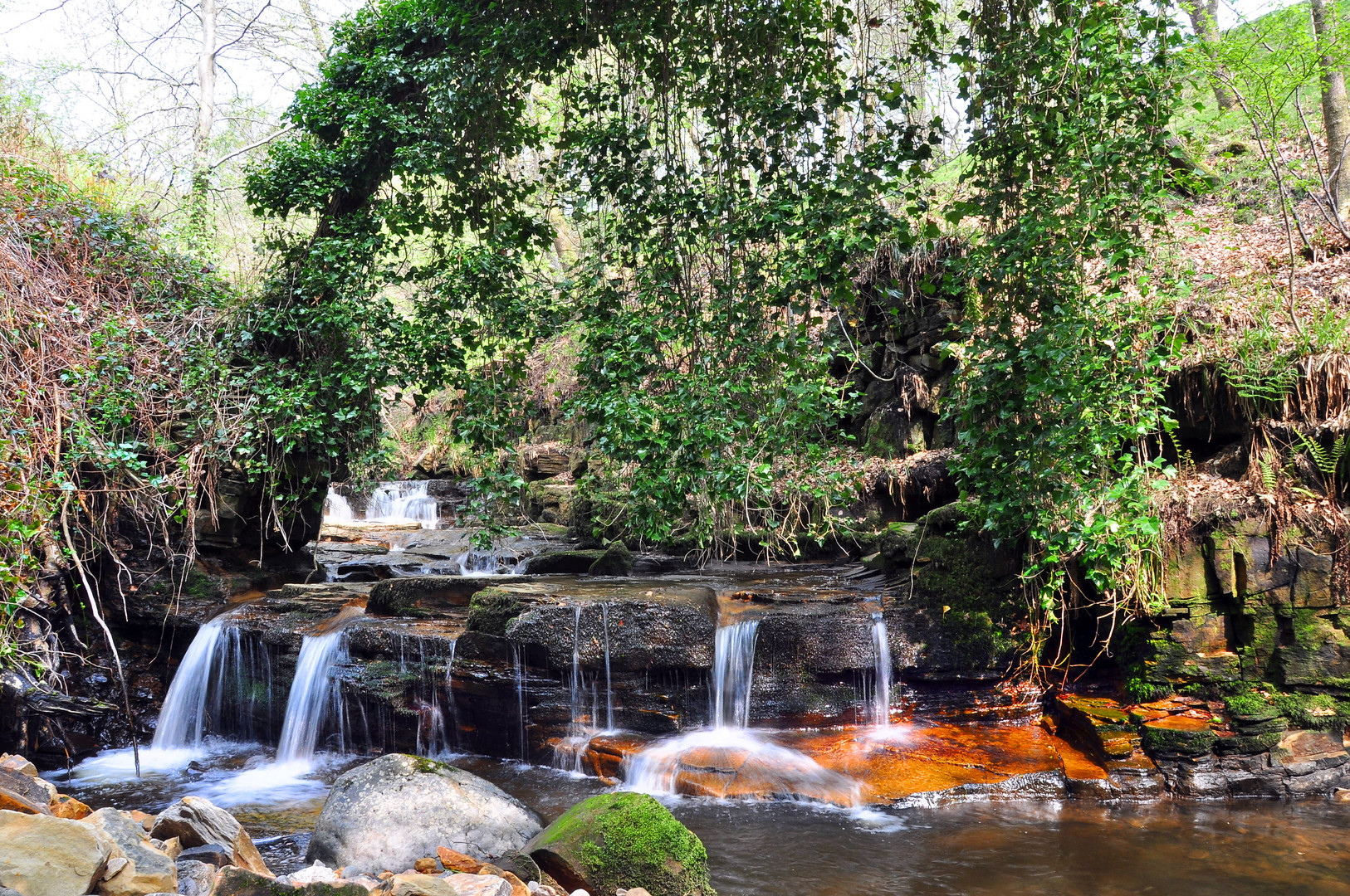 Garrel Glen,Kilsyth,Scotland