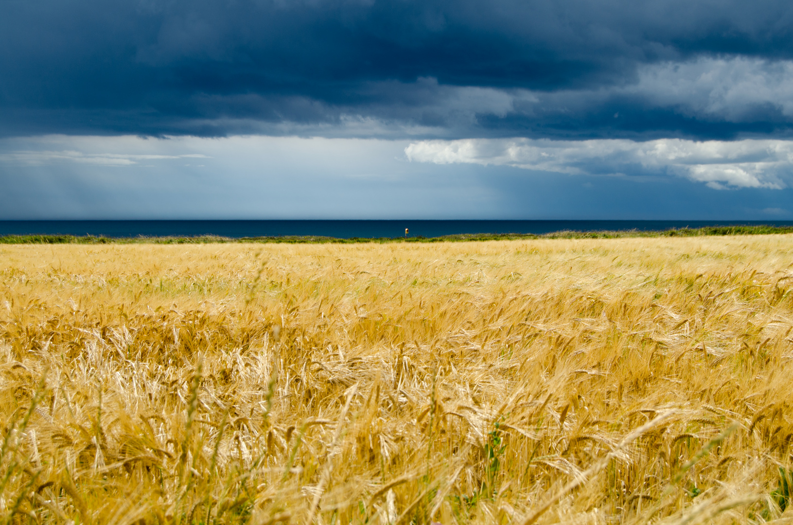 ... Garrettstown Coast II ...