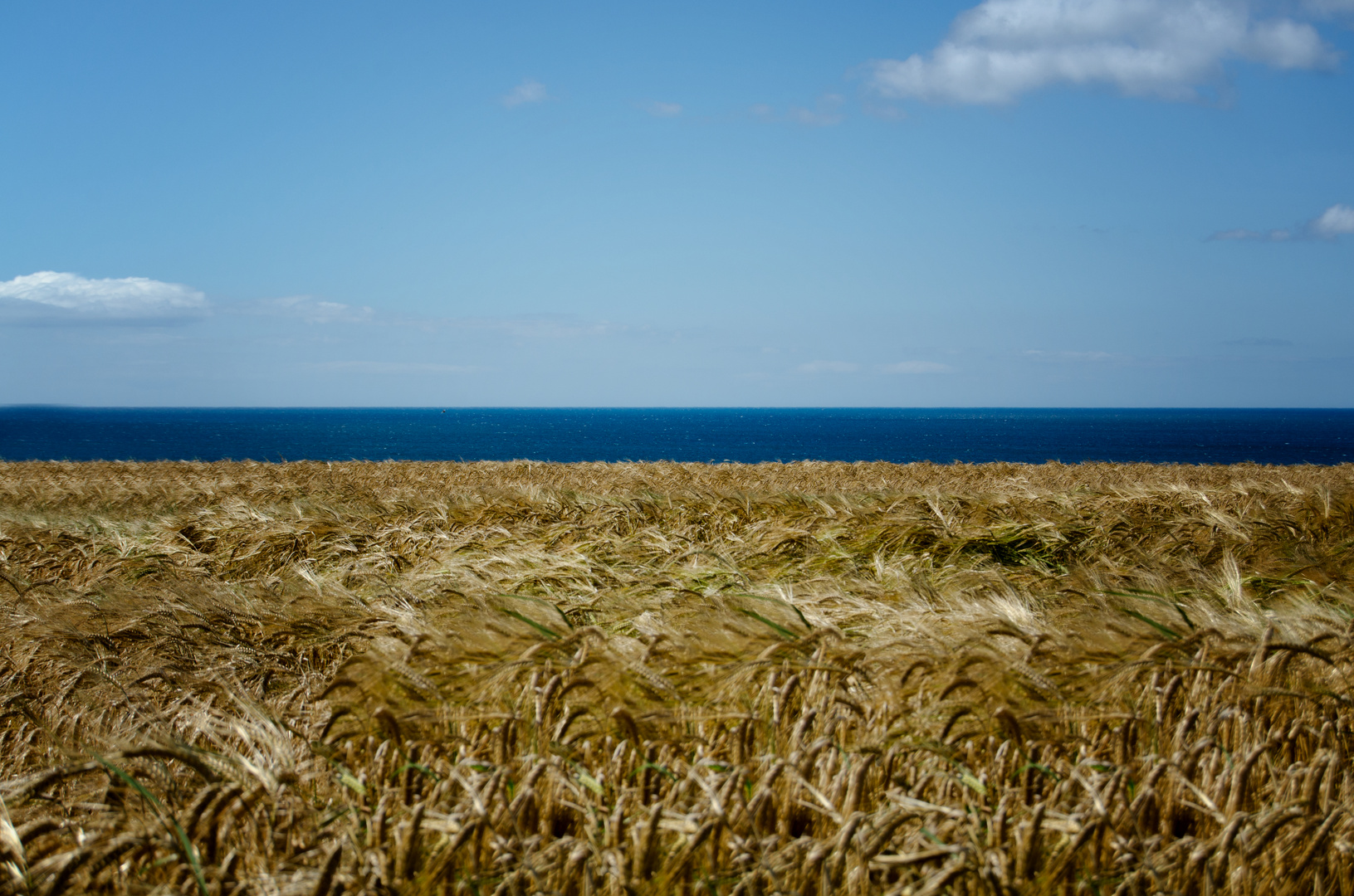 ... Garrettstown Coast VII ...