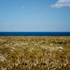 ... Garrettstown Coast VII ...