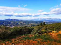 Garrigue au vent...