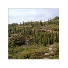 Garrigue -entschärft-