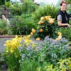 Garten 2016 (132 von 148)-Bearbeitet-Bearbeitet