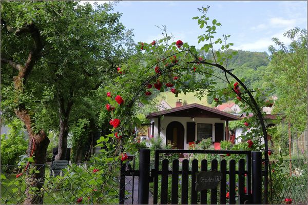Pirna und Heidenau Bilder & Fotos