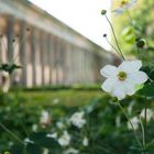 Garten alte Nationalgalerie