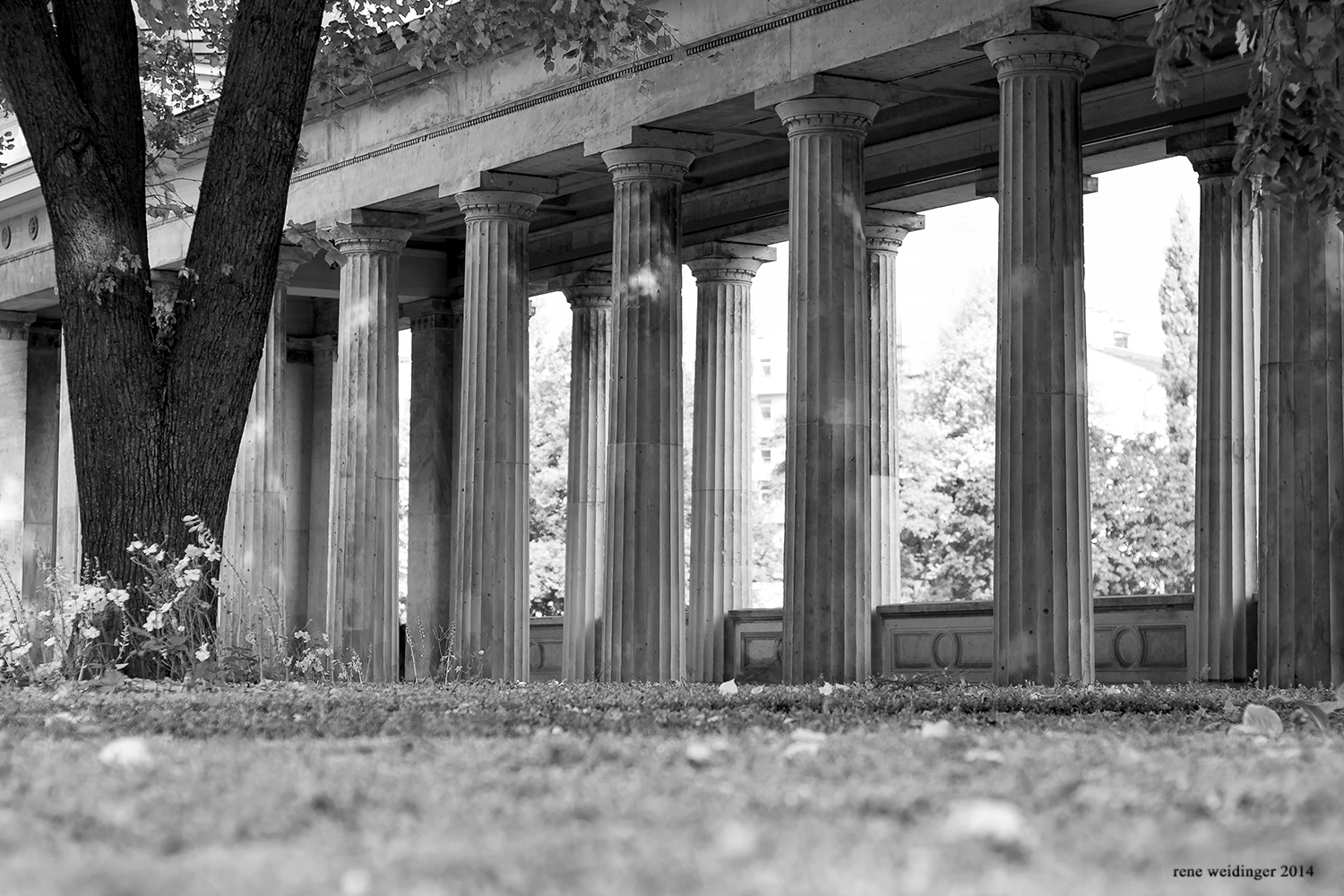 Garten, alte Nationalgalerie