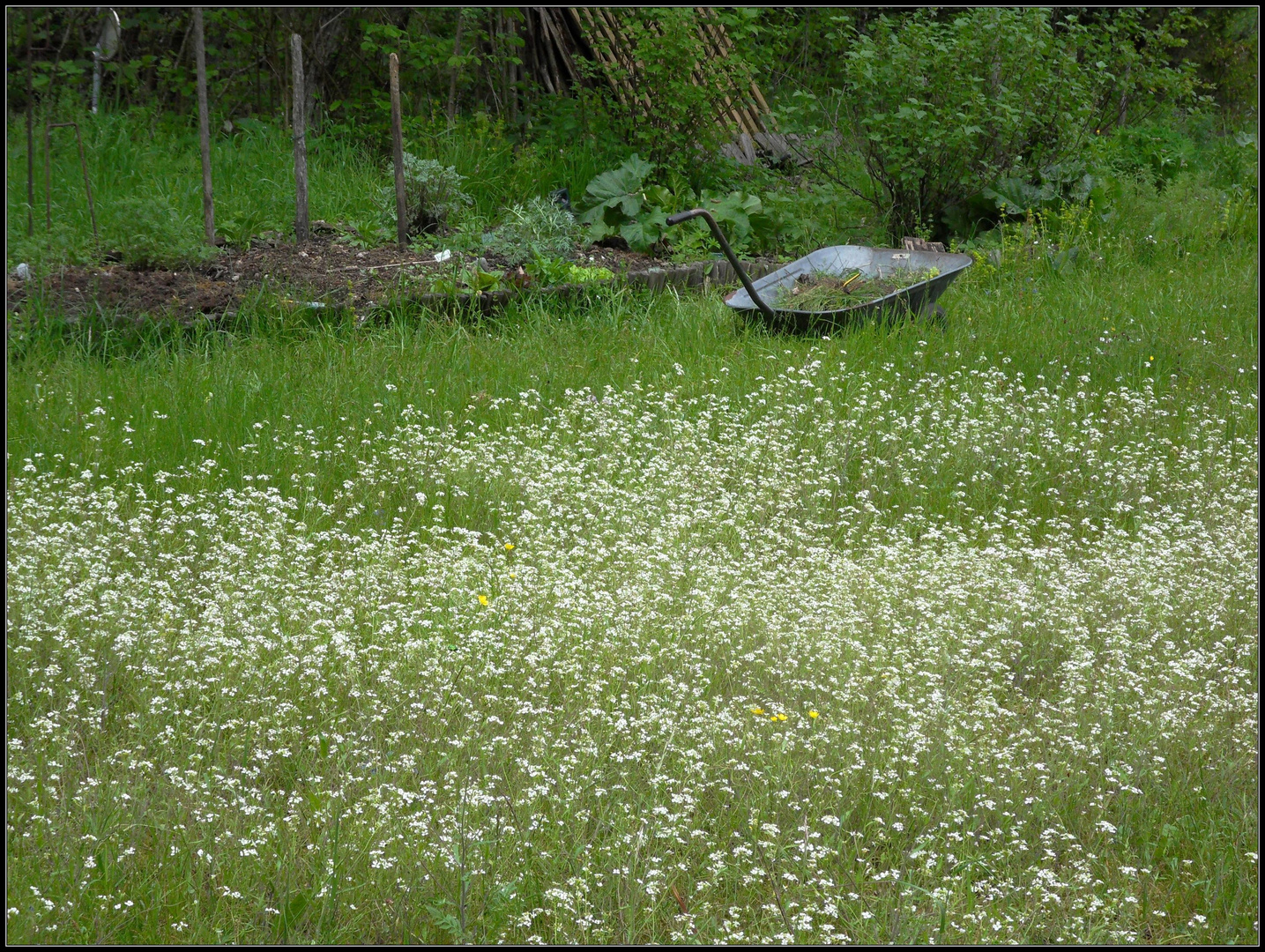 Garten alternativ...