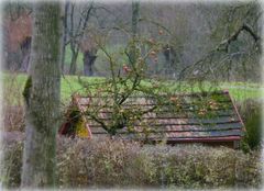 Garten am Bach