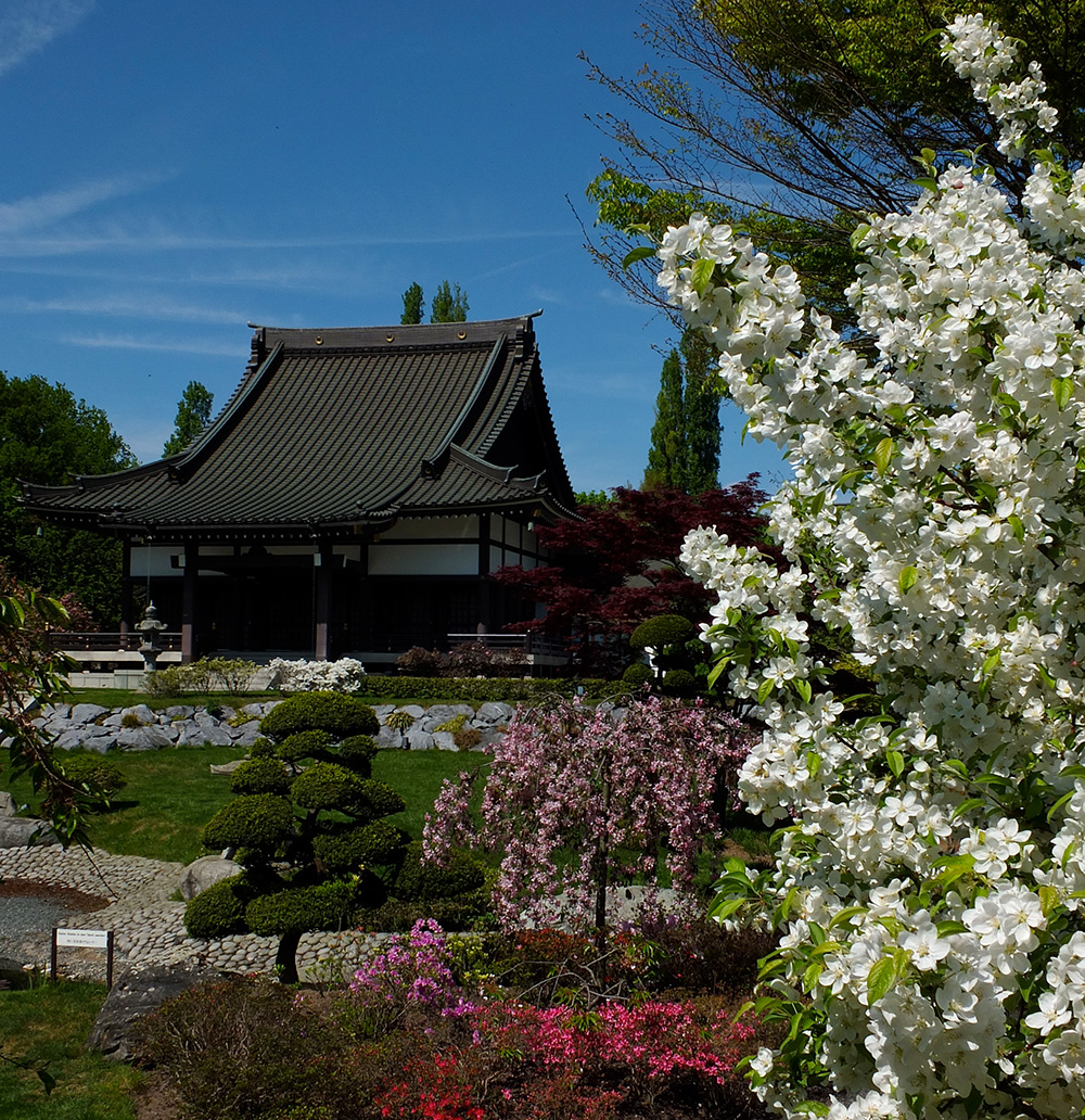 Garten am Ekohaus