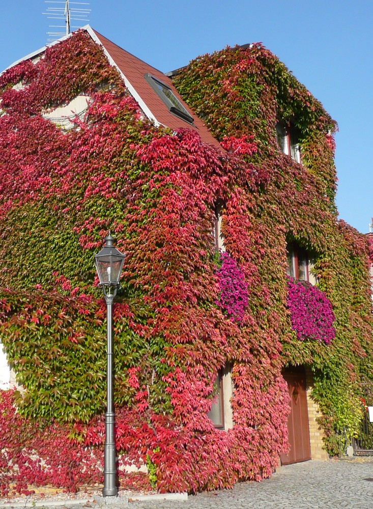 Garten am Haus falsch verstanden...