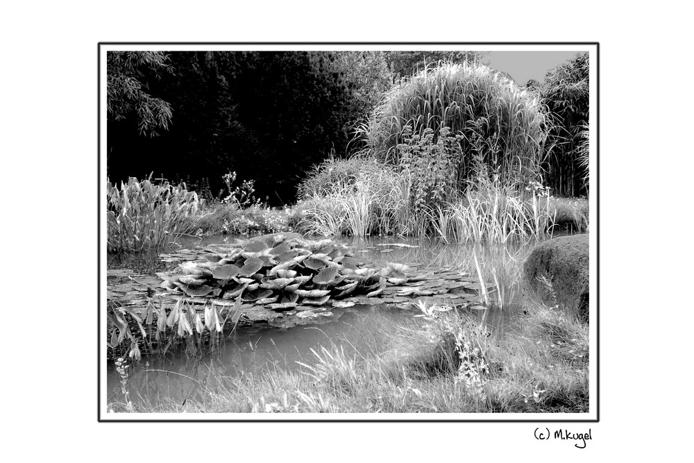 Garten am Haus unter den Eichen 2