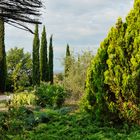 Garten am Pool