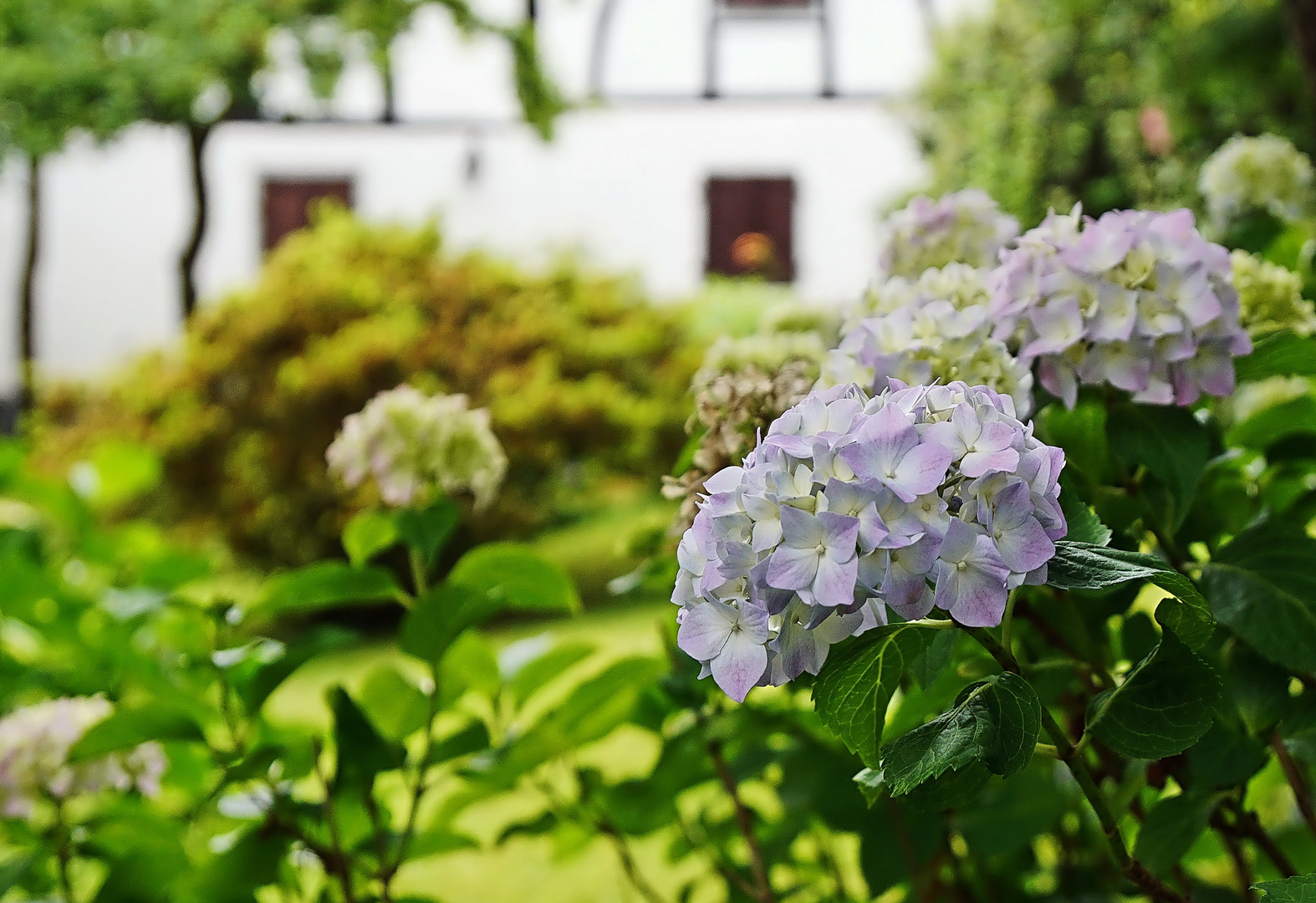 Garten an der Sieg in Blankenberg