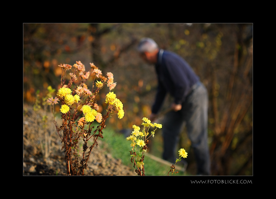 Garten Arbeiter #3