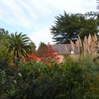 Garten auf der Ile de Bréhat