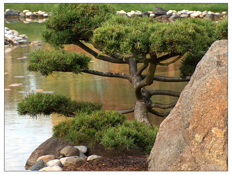 Garten auf Japanisch 1