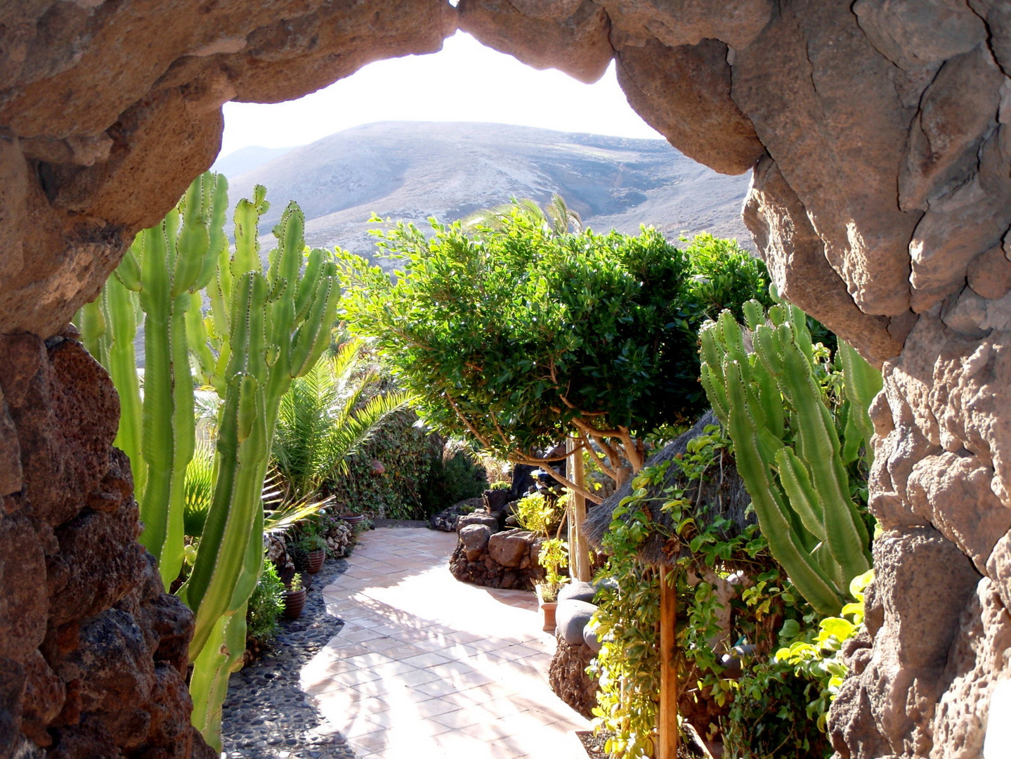 Garten auf Lanzarote