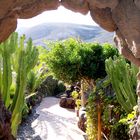 Garten auf Lanzarote