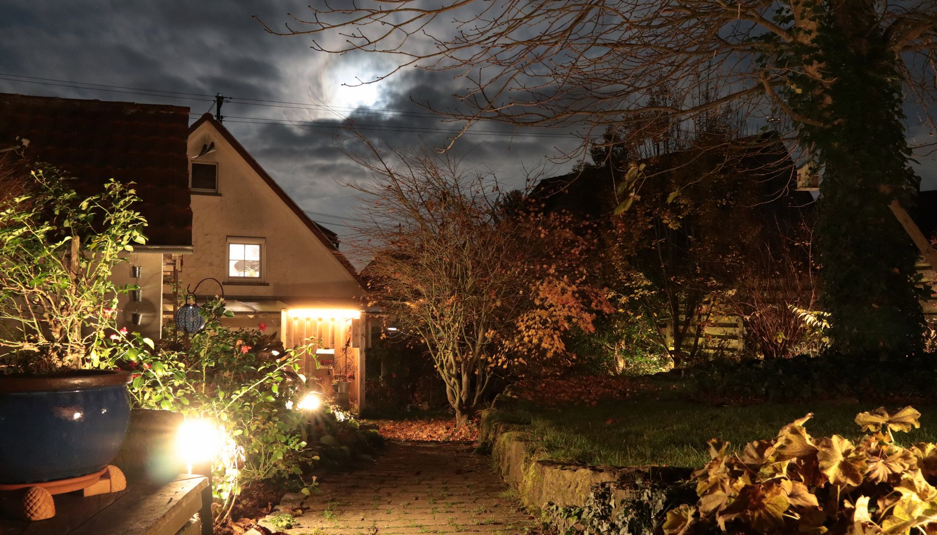 Garten bei Nacht