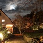 Garten bei Nacht