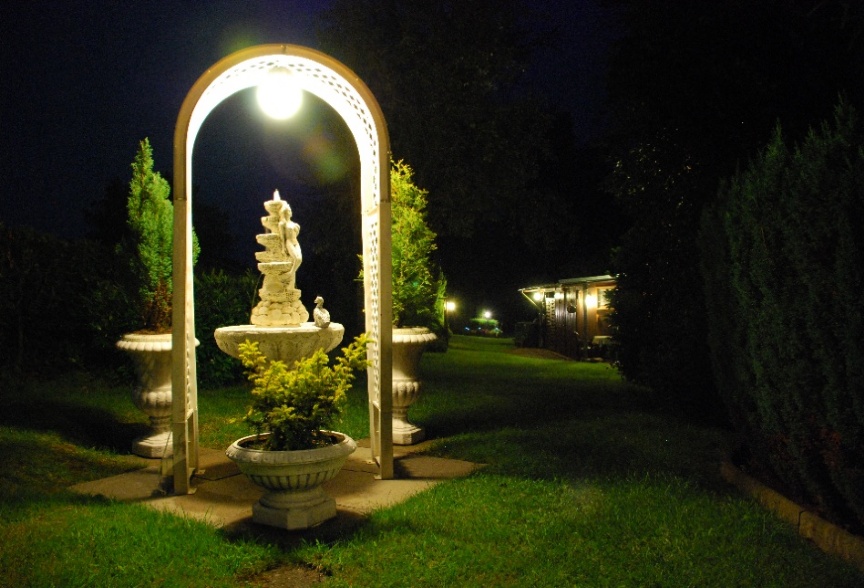 Garten bei Nacht