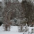 Garten bei Schnee