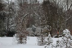 Garten bei Schnee