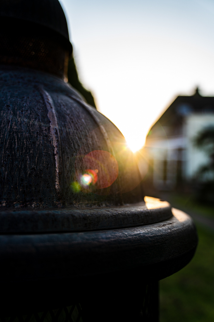 Garten bei Sonnenuntergang