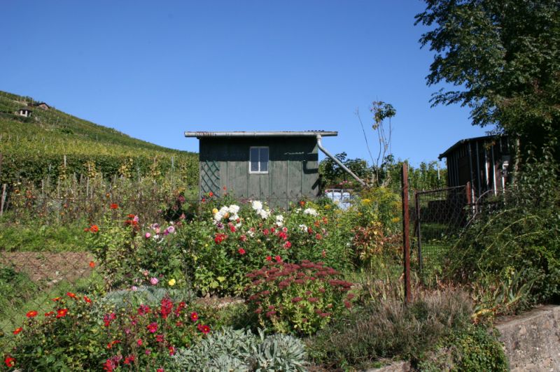 Garten bei Staufen