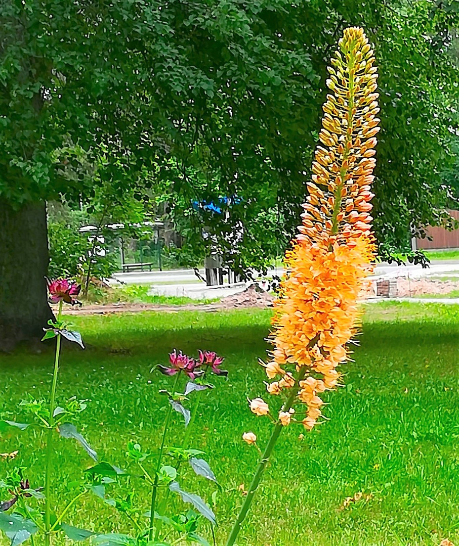 Garten bei Weinverkostung