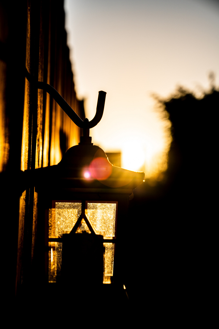 Garten beim Sonnenuntergang