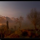 Garten beim Supervollmond