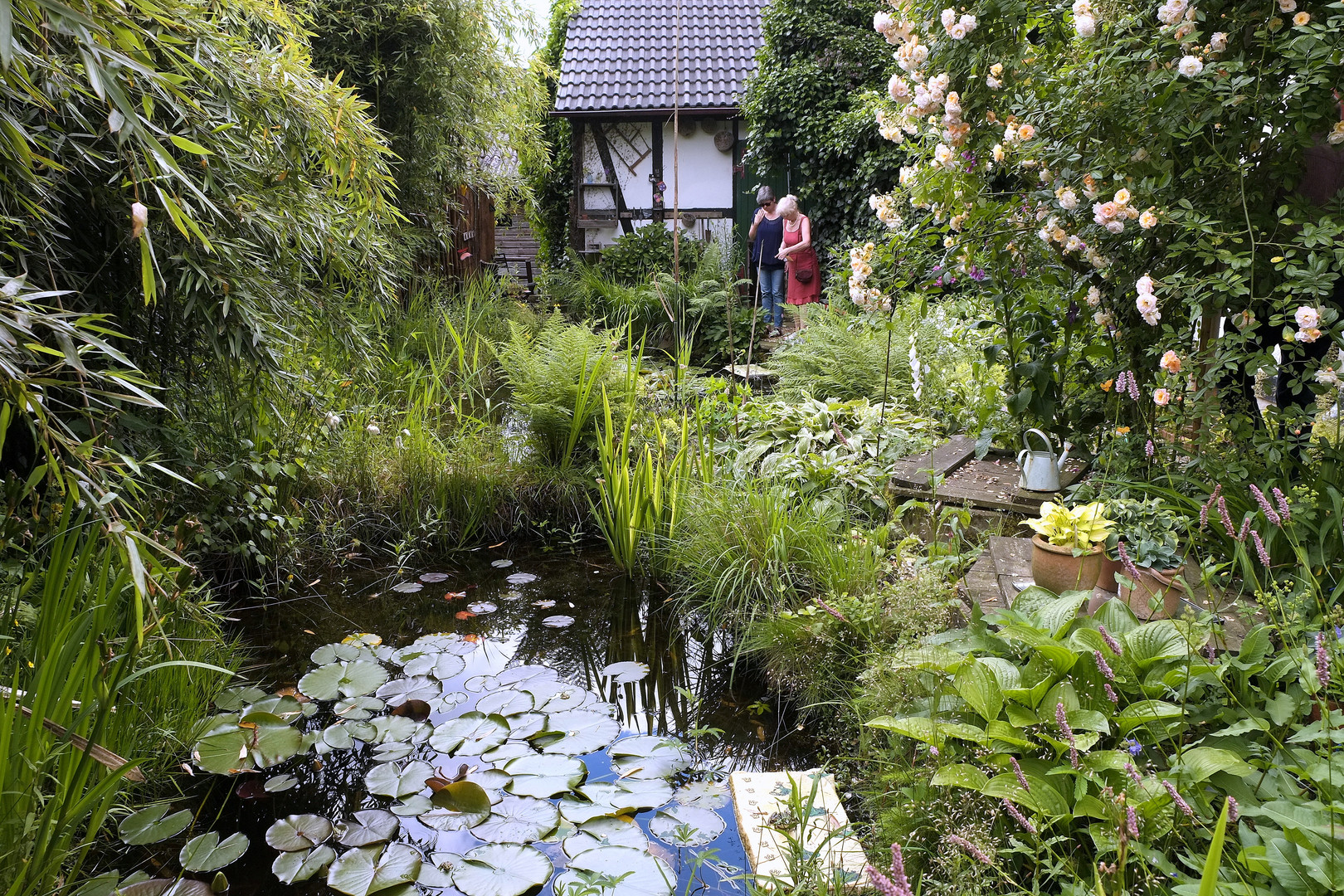 Garten - Biotop