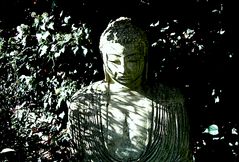 Garten Buddha