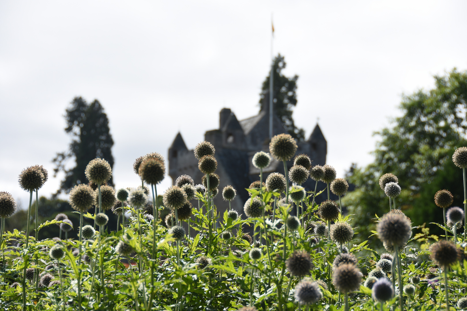 Garten Cawdor Castle Schottland