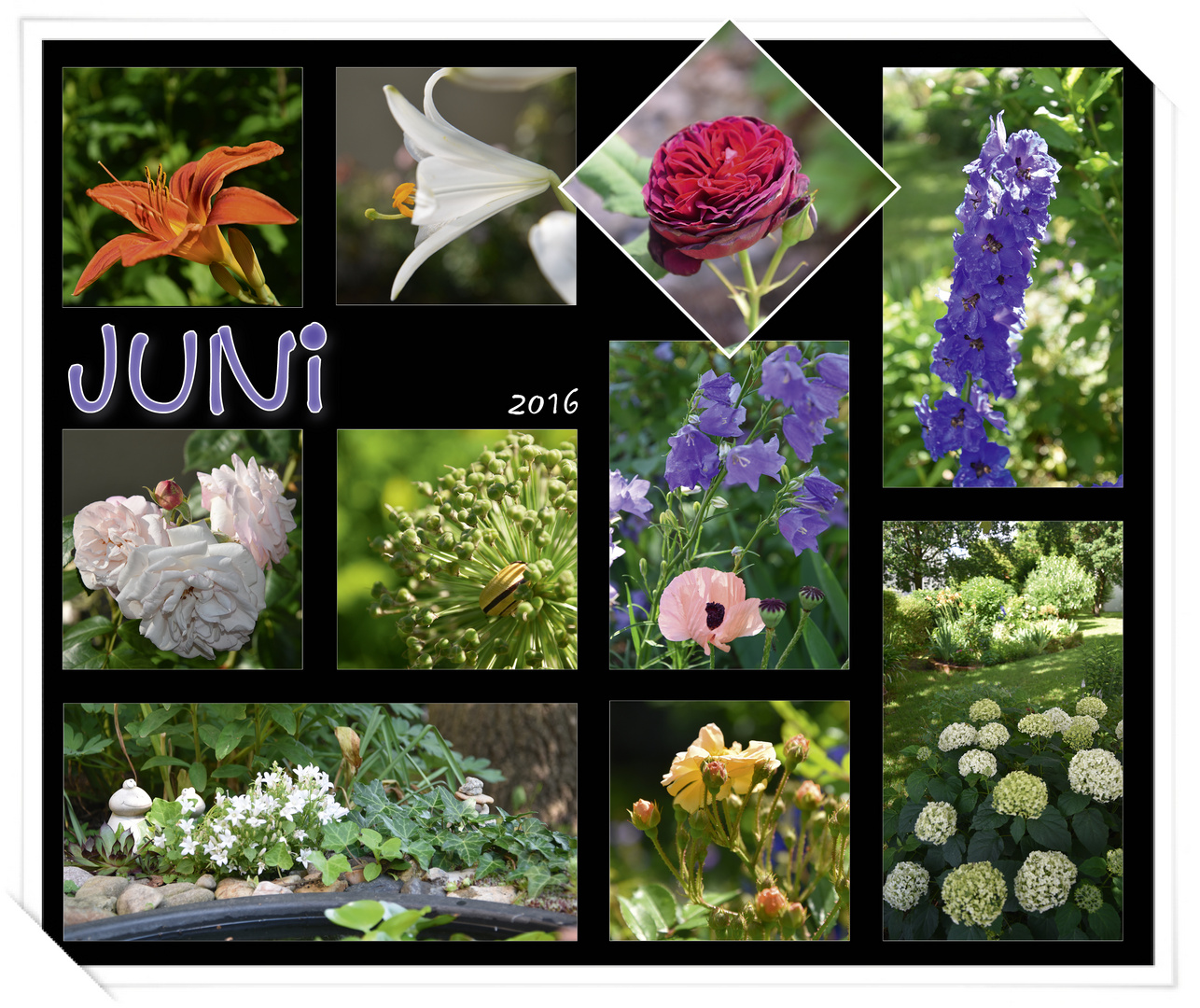 Garten-Collage