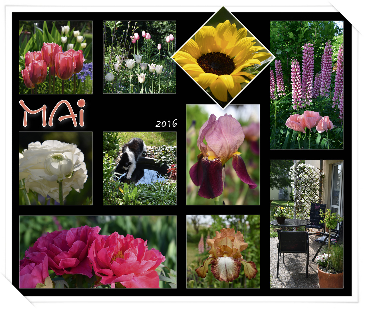 Garten-Collage